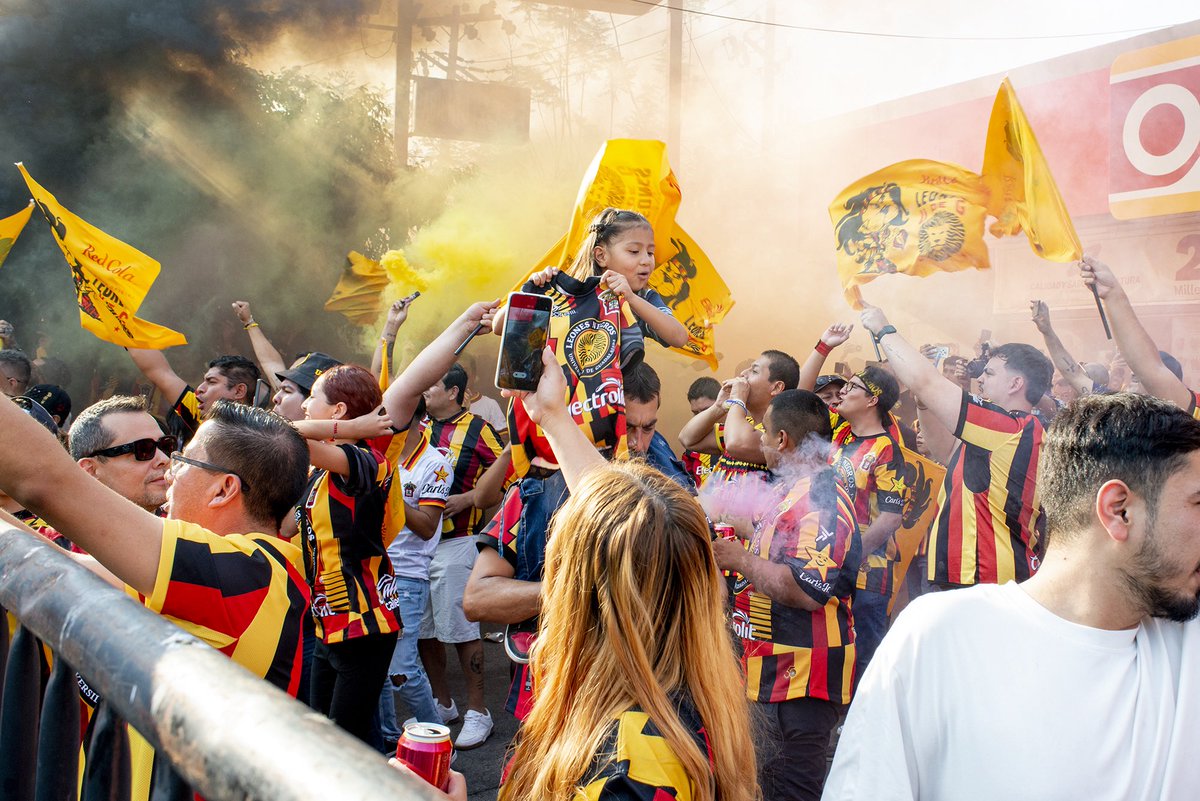 Leones Negros de la UdeG tweet media