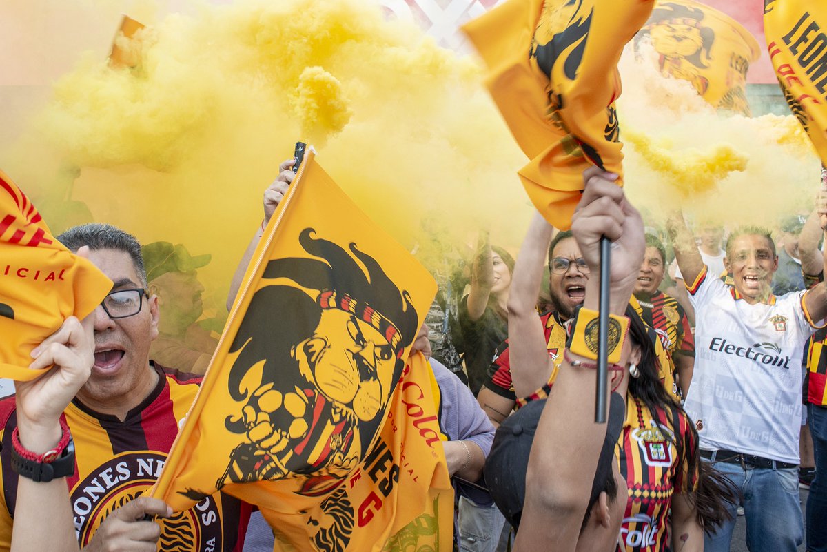 Leones Negros de la UdeG tweet media