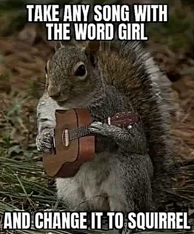 Spill The Memes tweet media