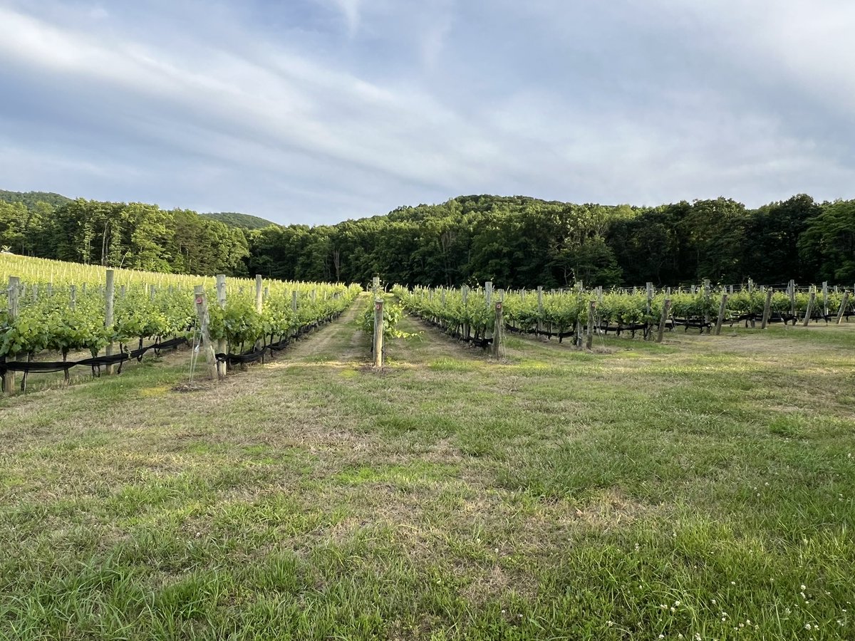 Capped off a fantastic day with a visit to one of my favorite wineries. Life is good!