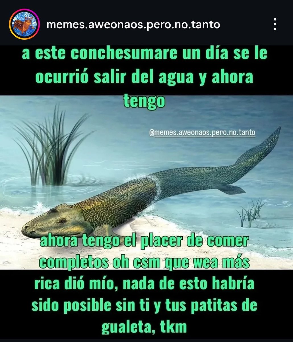 #DiaDelCompleto
