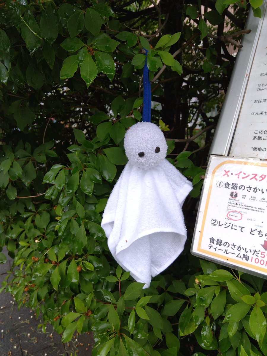 koregaakitada's tweet photo. 雨あがれ☂️☂️☂️＃コレアキ https://t.co/eaqF2xcvjh