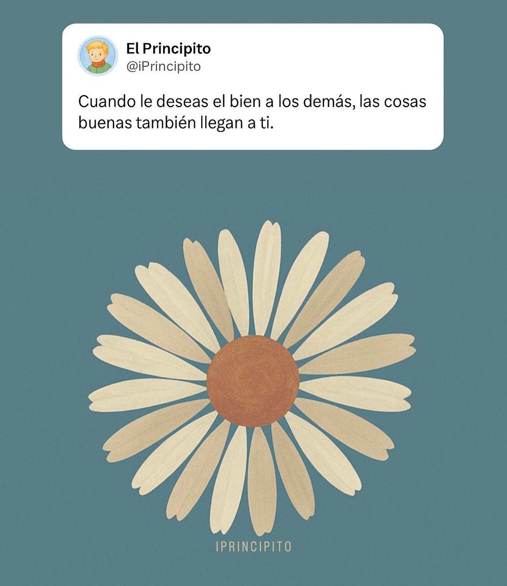 El Principito ✨ tweet media