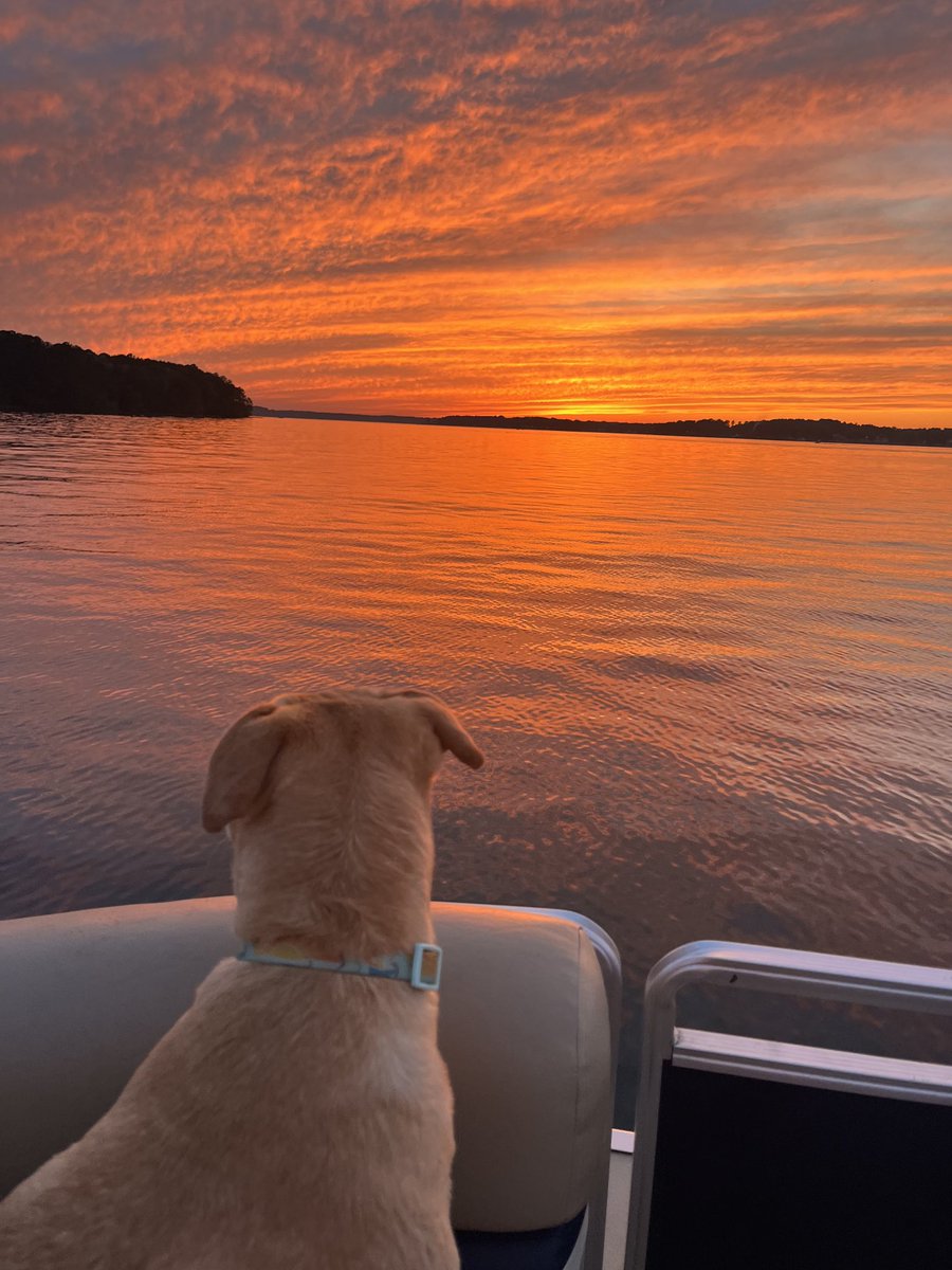 Doesn’t get much better than this