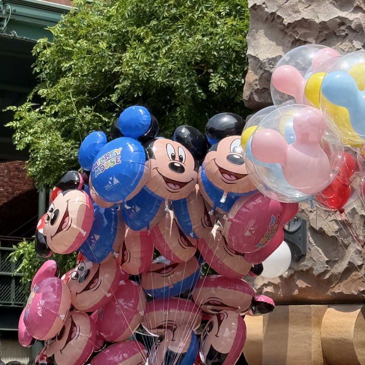 ６年ぶりのディズニーシーたのしかた💚