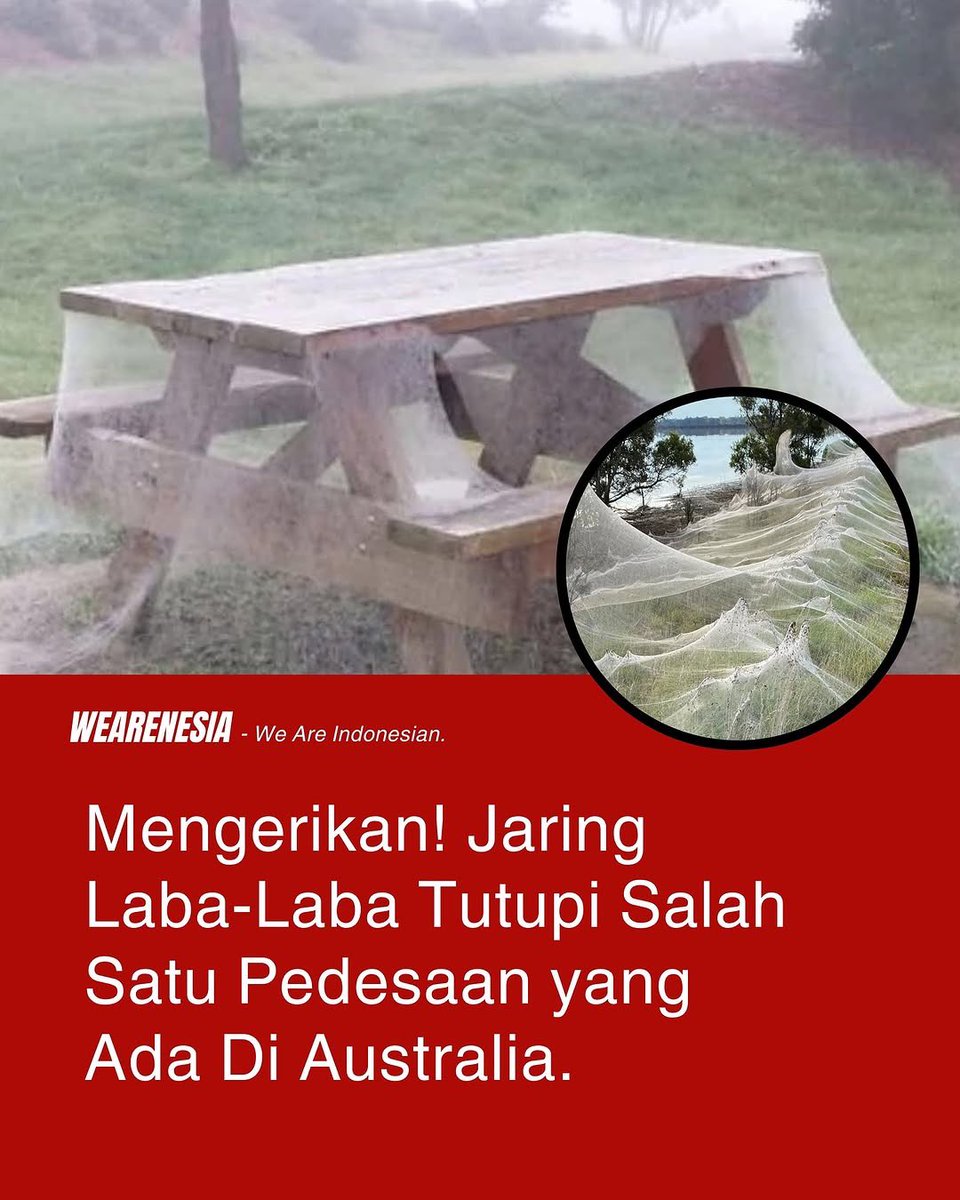 acupofshi's tweet photo. Gilakk...Langsung merinding sebadan"😖

–A Thread https://t.co/JexQqcwiFx
