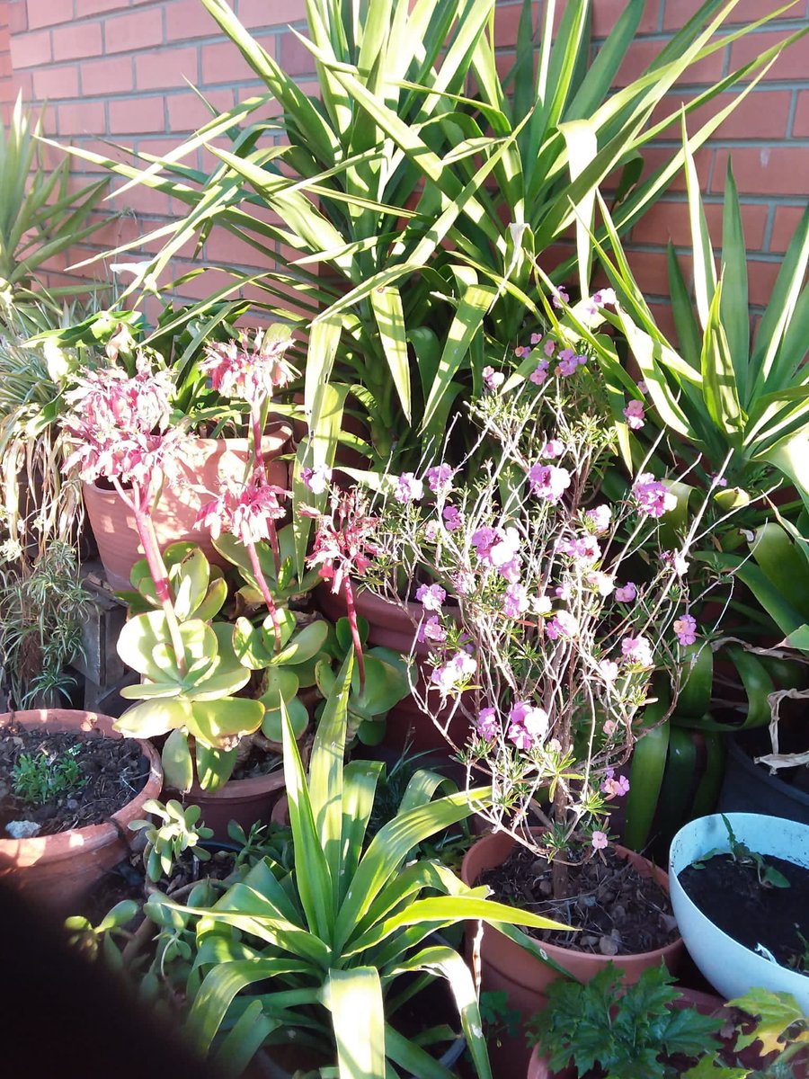 How do older Asian Australians find connection in digital spaces? <a href="/MonashUni/">Monash University</a> ARC Decra Research Scholar <a href="/earvsc/">Earvin Charles B. Cabalquinto, PhD</a> explores this question in a powerful new piece on digital belonging, isolation and leadership. shorturl.at/2Rd9b
#AASRN2025 #AASRNLeadership