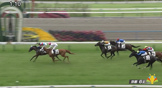 flarenyank's tweet photo. 京都☂
1Rサッポロキタコ
2Rオーケーエンジェル
3Rショウリュウアサヒ
4Rコスモグローリー
5R🥈メイショウキンタイ
6R🥉ブルーサンセット
7R⑥トリポリタニア
8R①バレルターン
9R⑯リアライズ
10R⑬キャプテンネキ
11R⑮スウィープフィート
12R⑤アーマルコライト
8/17＝47％
次で折り返し！ https://t.co/zo6ncWomS4
