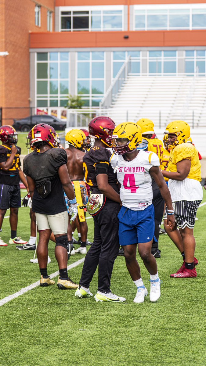 Great spring ball🦁