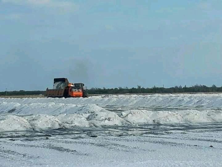 Con buen clima trabajadores de la Unidad Empresarial de Base Salina de #PuertoPadre comenzaron a picar la sal en un cristalizador, para luego llevarla a la meseta, dando inicio así a la campaña de extracción de unas 25 mil  ton
#PorLasTunasLaVictoria
✍️ Leidiedi Gómez Hidalgo