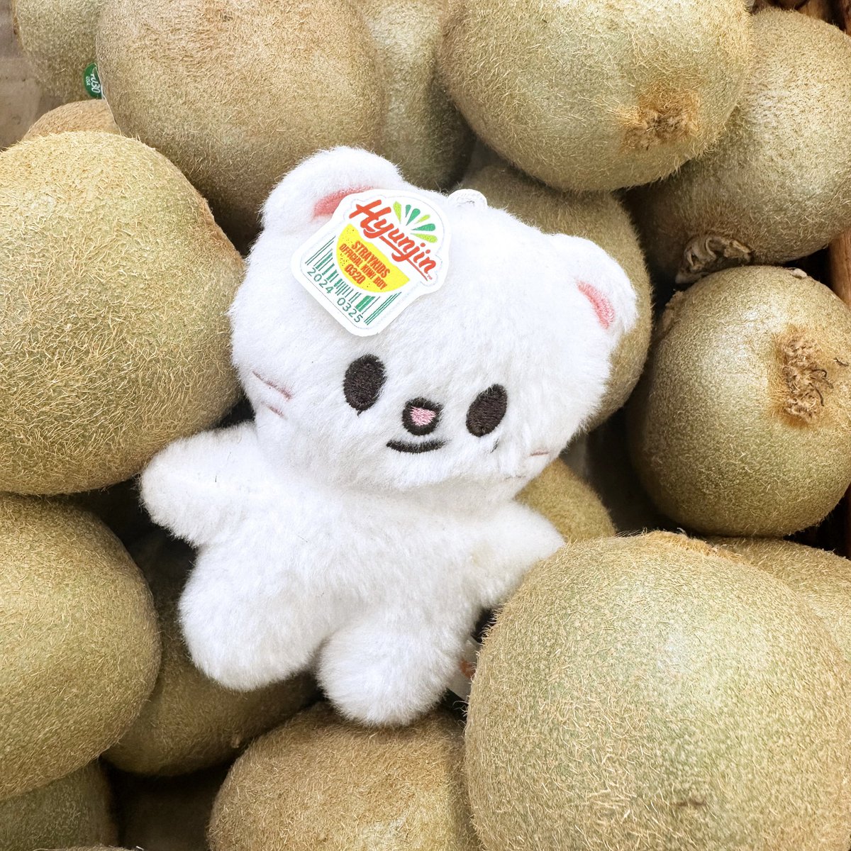 🥝 skz dominate freebies 🥝

hi!!! i'll be passing out hyunjin kiwi stickers designed by <a href="/dupesetnet/">jisung</a> for dominate SF  and LA D1/D2!

- limited qty for each day
- time and location tba on the day of the shows!!
- rt &amp; follow to claim/trade ❣️

#dominATE_SANFRANCISCO #dominATE_SF