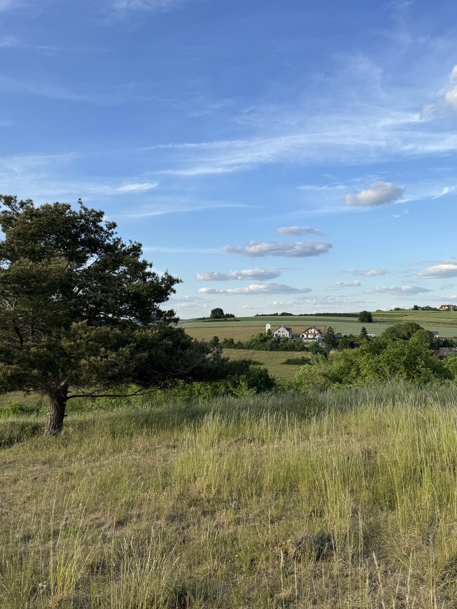 _bitsnbytes's tweet image. ~duur ik gaon hai