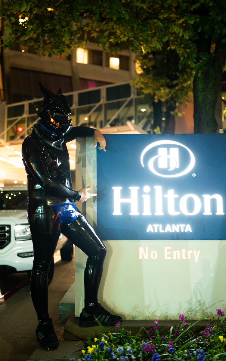 Rokko🇵🇷 🔜 FWA | AC (@itsrokko) on Twitter photo Oh, forgot to mention, I also turn into a dragon from time to time😈😈😈
🐲: <a href="/FriskyCritters/">Frisky Critters</a>
#SqueakySaturday #TF #latex Oh, forgot to mention, I also turn into a dragon from time to time😈😈😈
🐲: <a href="/FriskyCritters/">Frisky Critters</a>
#SqueakySaturday #TF #latex