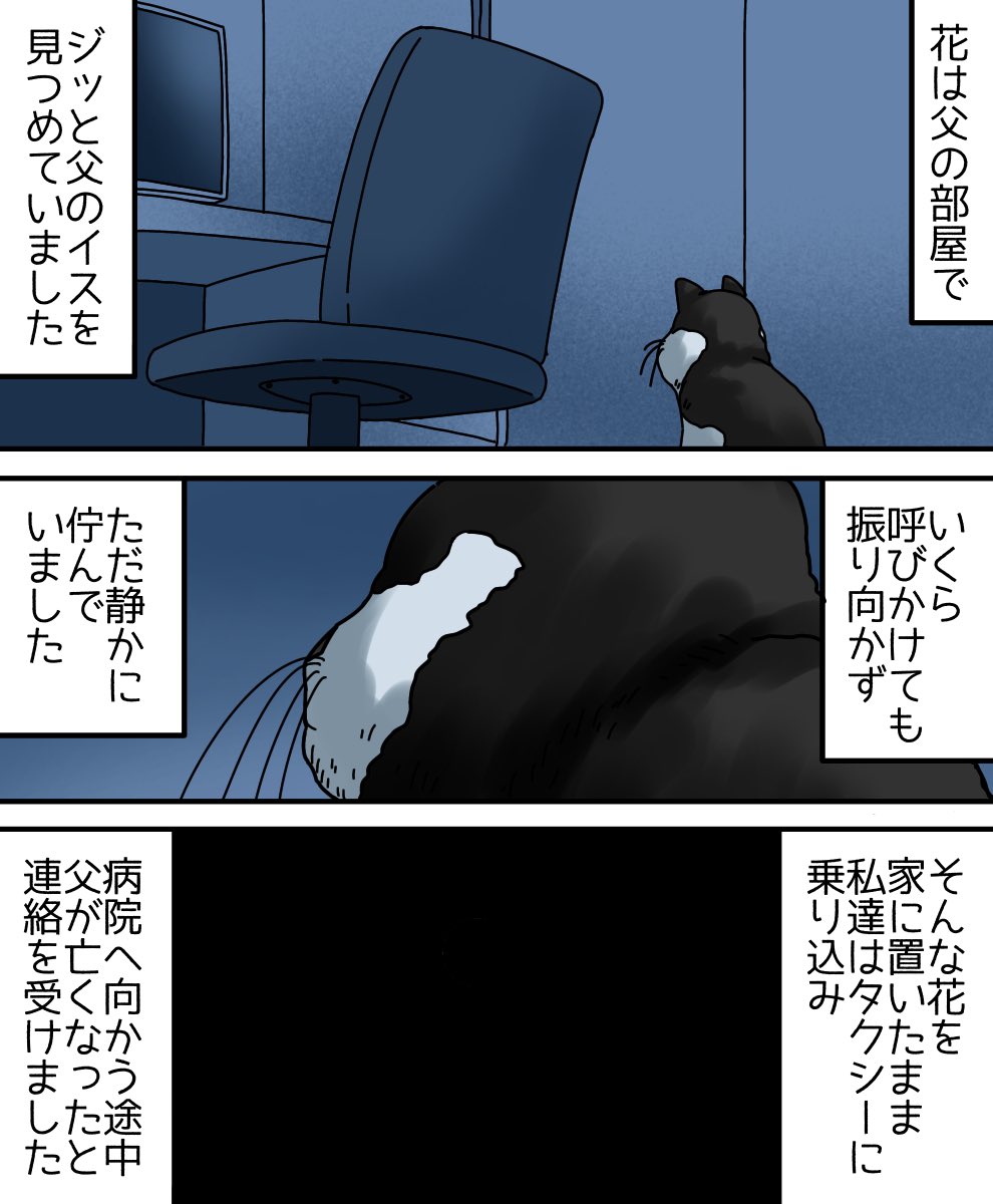 父のことが大好きだった猫の話(体験談)2/3 