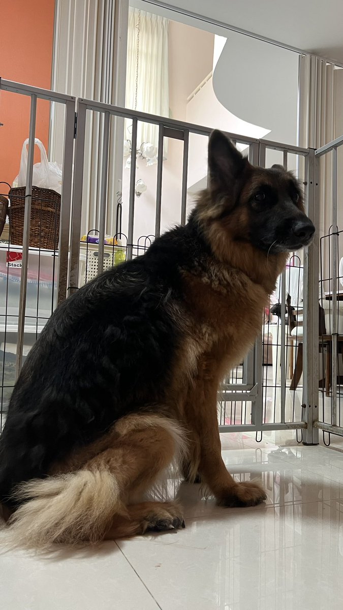 ช่วงเป็นสาวนะคะ 
ปีละ 2 ครั้งค่ะ