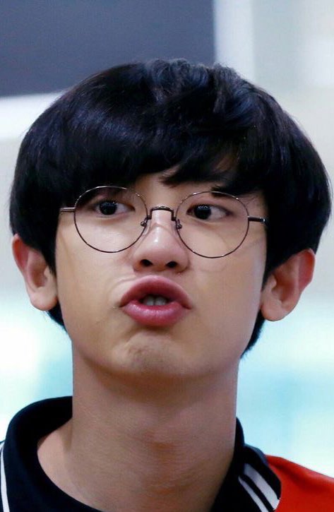 tiny exo tweet media