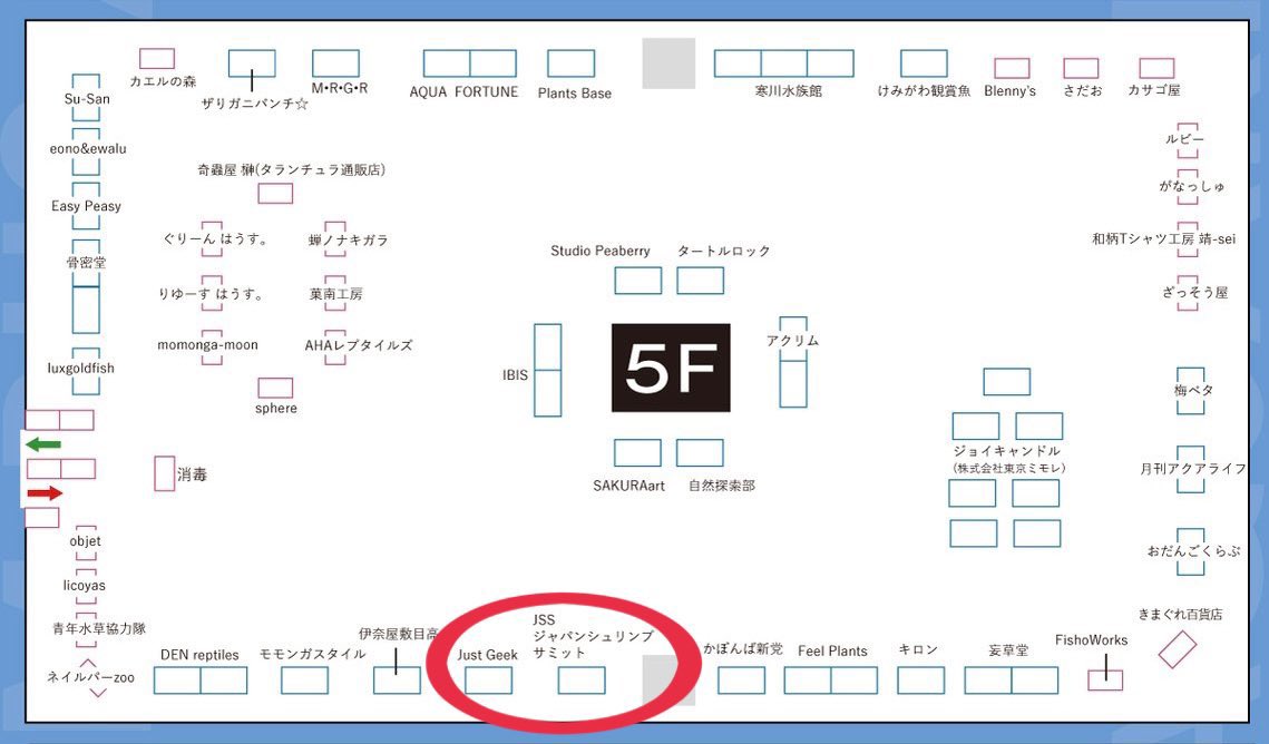 アクアリウムバス設営完了です‼️
5階でお待ちしてますよ😌

#アクアリウムバス