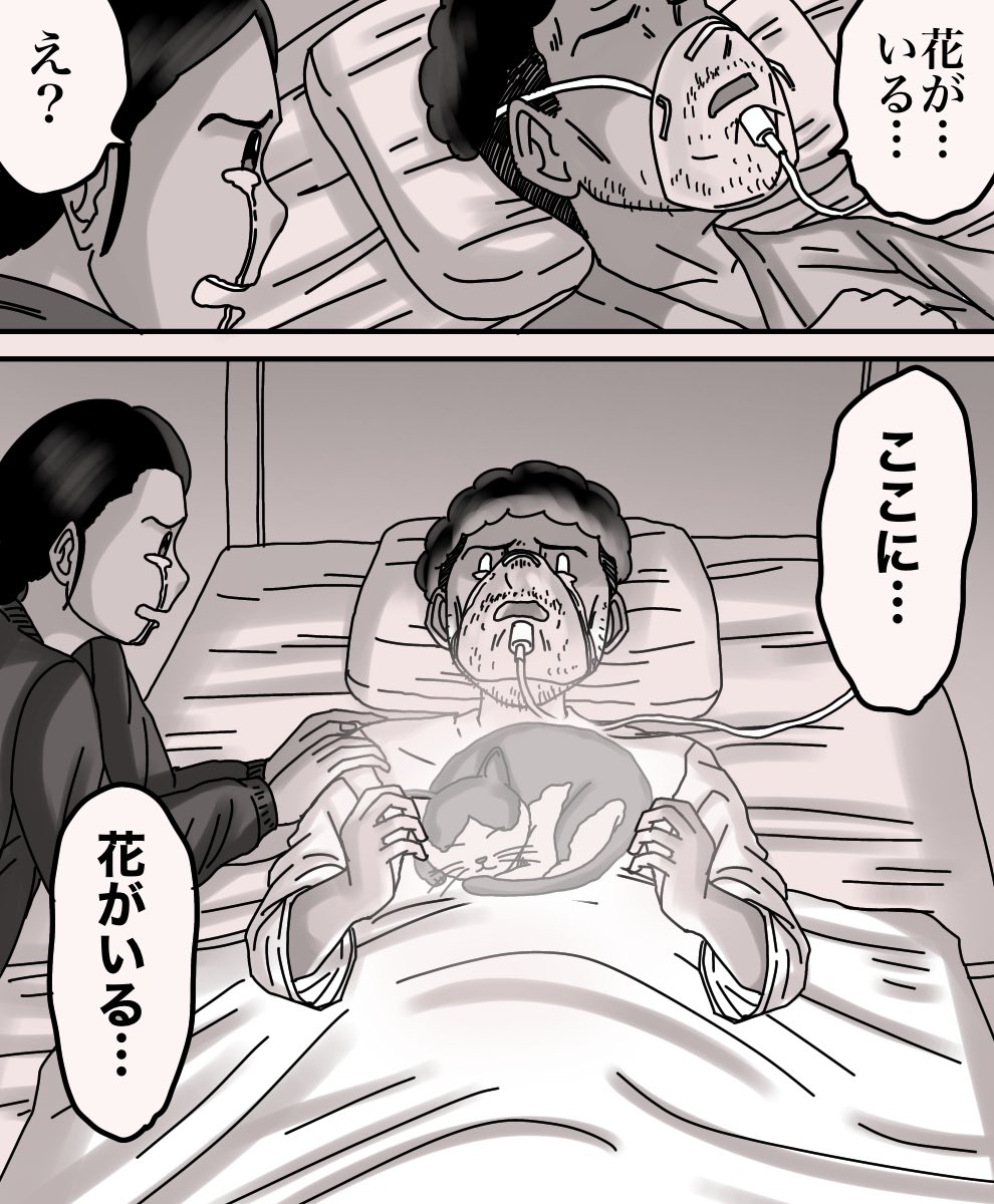 父のことが大好きだった猫の話(体験談)0/3 