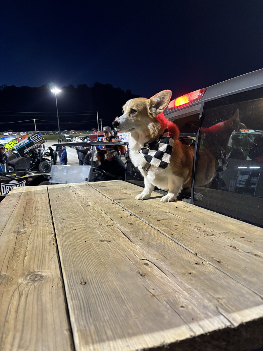 PushCorgi's tweet image. Summer where are you?! Frozen into a statue 🥶 @PortRoyalSpdway #SpeedPalace