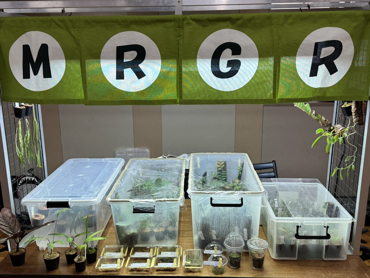 アクアリウムバス準備完了しました。
相変わらず値段付け切れていないのでお気軽にお声掛けください！
後、顔と名前が一致しない事が多々あるかと思いますが悪気は無いです・・・覚えられないんです・・・すいません
まもなく5周年！無事に6年目を迎えられるよう本日も何卒よろしくお願いします！