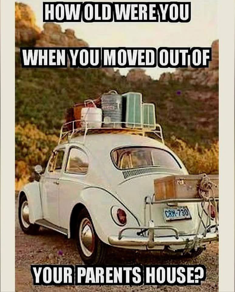 Rothmus 🏴 tweet media