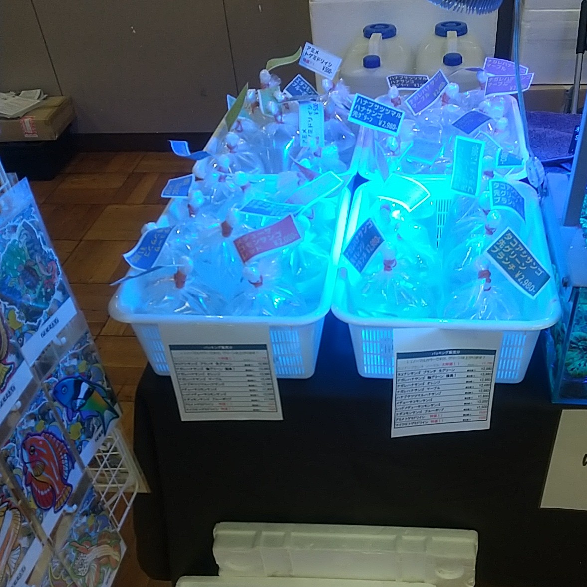 準備万端で開場です