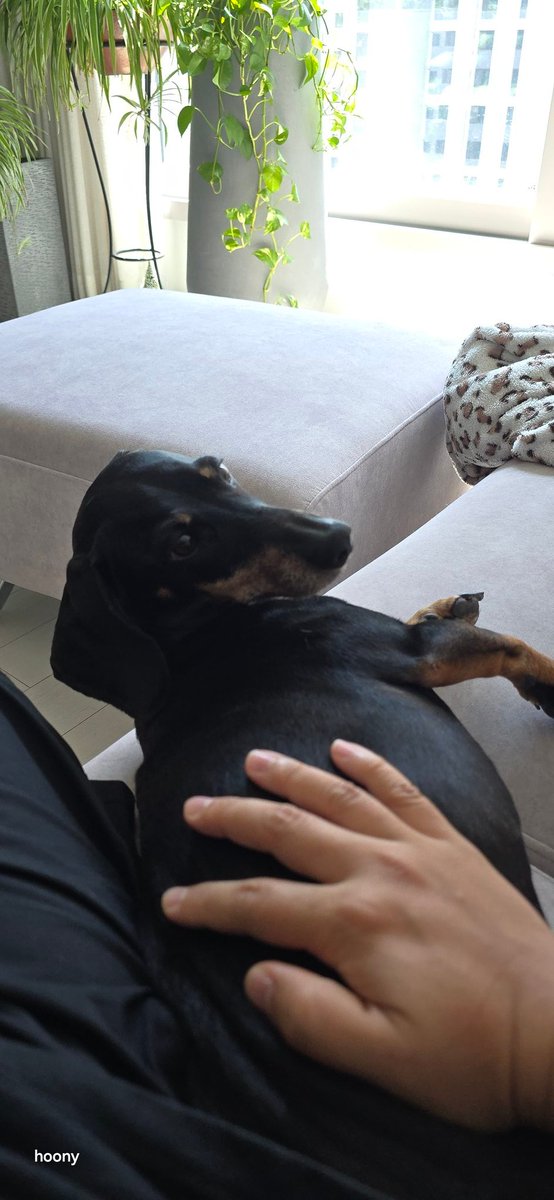 그는 알까
오늘 생일이라 태강이네 간다는걸