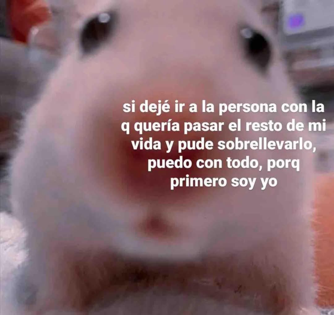 Cap Briagowsky tweet media