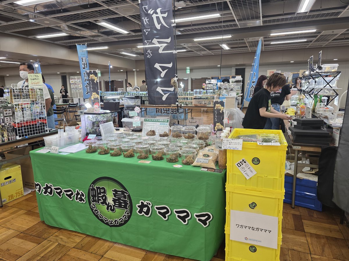 #アクアリウムバス