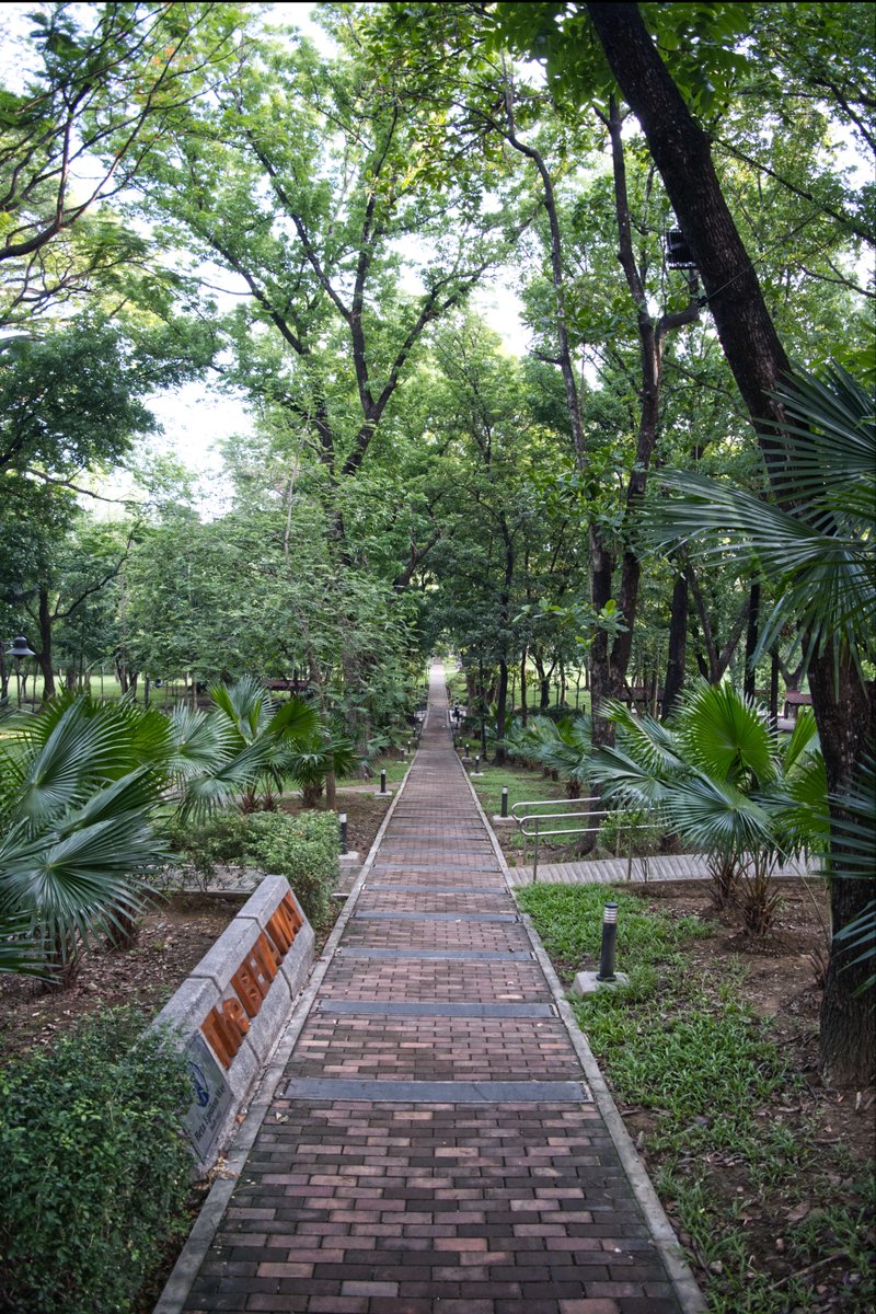 MorteJude's tweet photo. @jjmmli J, does this #photo below โฌ๏ธ qualify as an image #withperspective ?
Just verifying...Thank you ๐ท
#Photography #fujifilmXM5 #fujifilm_xseries https://t.co/QzrTuOhFGn