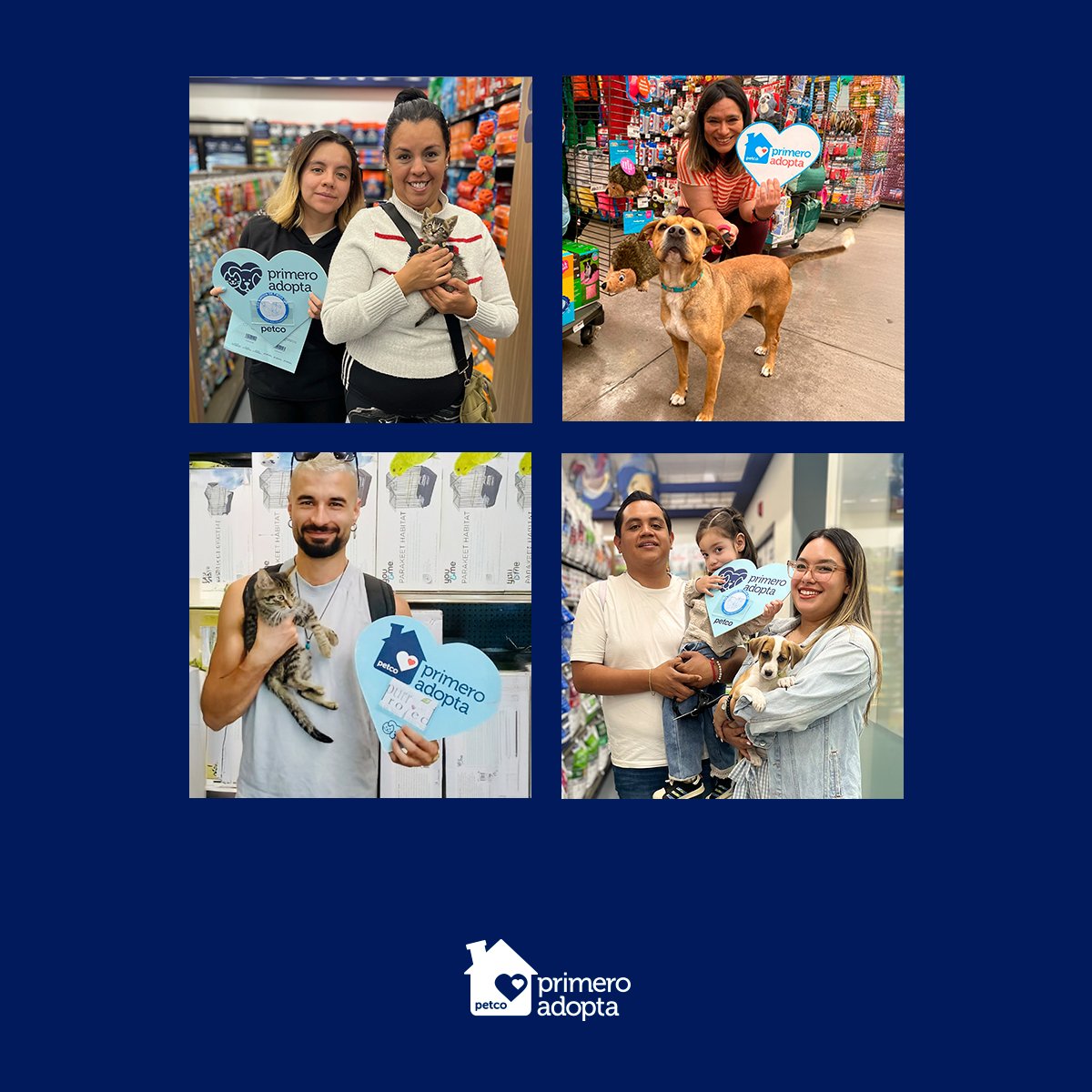 ¡Cada día, más mascotas encuentran el hogar lleno de amor que siempre soñaron! 🏡❤️ Súmate a nuestra filosofía #PrimeroAdopta y dale una segunda oportunidad a un perrito o gatito. 🐶🐱🐾