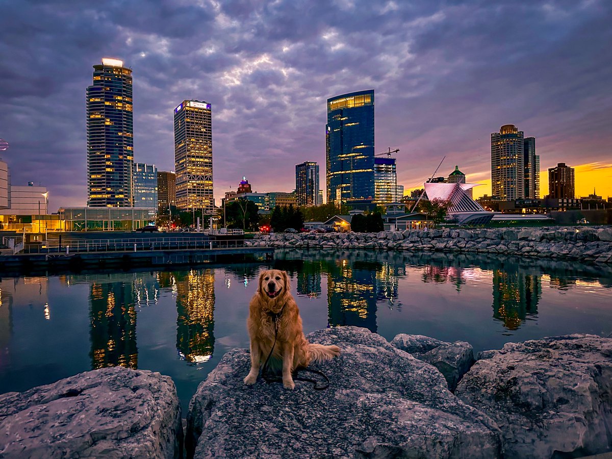 Night stroll with Brutus. Milwaukee is beautiful.