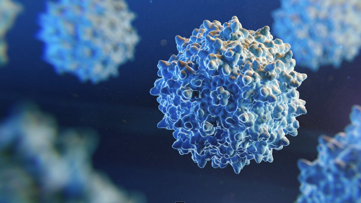 AAV-based gene therapy is making rapid strides, with a growing number of approved treatments and a large pipeline of ongoing clinical trials. 

Ask Noah AI: What important progress has been made in dual AAV gene therapy over the past year?  noahai.co/ask