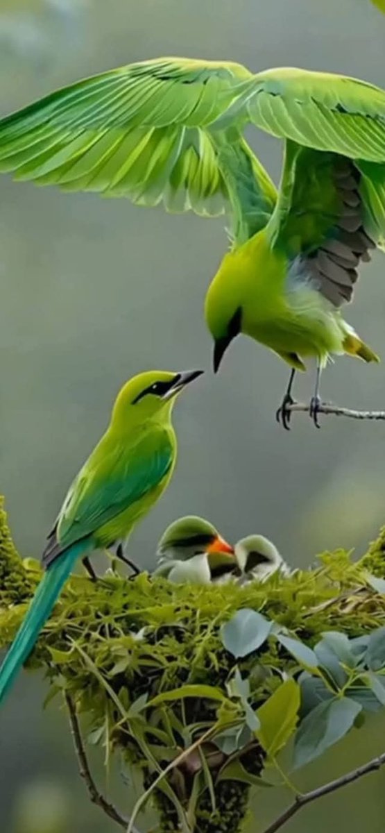 #TMG_PAK
<a href="/Trq88/">✍︎⸙𝐓αɾιϙ 𝐌υɾƚαȥα࿈</a> <a href="/Ghz21/">⍟𝐆𝐡𝐚𝐳𝐚𝐥𝐚 𝐒𝐚𝐝𝐚𝐟⍟</a> @Ozlerntr
<a href="/1fazl2/">فضـ𝓪𝓴𝓫𝓪𝓻ـل</a> <a href="/1Aara_/">○° آراءخان°○</a> <a href="/lilmne/">احمد العثربي</a>
07:02AM
<a href="/ISI0013/">Itx_013.</a> @01_usm
<a href="/TrqMz30/">Tariq baloch</a> <a href="/db7qp/">Rose</a>
@Aj__55
<a href="/Rnapti/">SHAHID💚PK</a>
@le_mcb
<a href="/shz787/">🌟⭐️🌟🌟sʜᴀʜᴢᴀᴅ ᴍᴜɴɪʀ🌟⭐️🌟⭐️</a>
<a href="/FBI_1777/">𝒎𝒖𝒉𝒂𝒎𝒎𝒂𝒅 𝒉𝒂𝒓𝒐𝒐𝒏🇲🇾🙏🌹💕🫰❤️</a>
<a href="/OdriSeva/">Odri Seva</a>
<a href="/Frhn42/">★𝙁𝙧𝙝𝙖𝙣 𝘼𝙝𝙢𝙚𝙙★</a> <a href="/1fzalI/">💓PTI ACCOUNTS PROMORTER💓</a>
@Qen_pro <a href="/onlybunn/">Its Bunny ( one day i bacome a good person )</a>
<a href="/Ab_axi/">✨ 🖤 Muhammed Motasim BiLLAH Abbasi 🖤 ✨</a> <a href="/_i_tl/">HK</a> <a href="/Hmid71/">⤥𝙃𝙖𝙢𝙞𝙙 𝙎𝙝𝙯𝙖𝙙⤣</a>
@Pti7k <a href="/Triq25/">⤹𝙈𝙪𝙝𝙖𝙢𝙢𝙖𝙙 𝙏𝙖𝙧𝙞𝙦⤸</a> @Ozautr
@mne_oz <a href="/azhn99/">AzhaanRehan</a> <a href="/Shmi40/">꧁༺𝙎𝙝𝙖𝙝𝙈𝙚𝙚𝙧༻꧂</a>
<a href="/Sc2017W/">SC2017</a> <a href="/Zk8861/">Zakia Chaudhary</a> <a href="/Khld36/">✍𝙆𝙝𝙖𝙡𝙞𝙙 𝙃𝙪𝙨𝙖𝙞𝙣✍⳼</a>