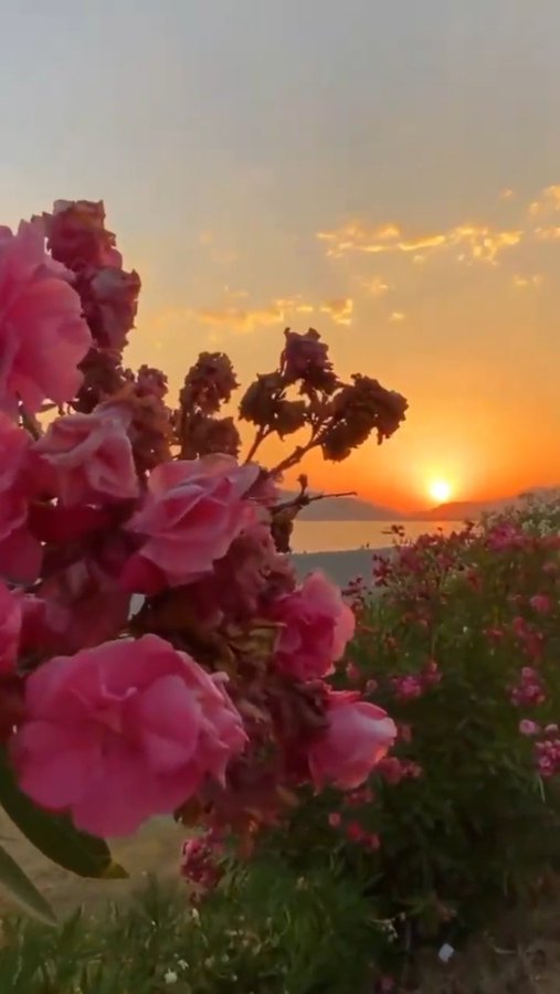 مع ساعات الصباح...

"اللهم إنا نسألك صباحاً يملأ الأجساد عافية، والروح فرحاً، اللهم أرحنا من هموم الدنيا، وارزقنا التوفيق في جميع أمورنا"...🤍

              صـــــباح الخيــــــــــر 🌾🌾