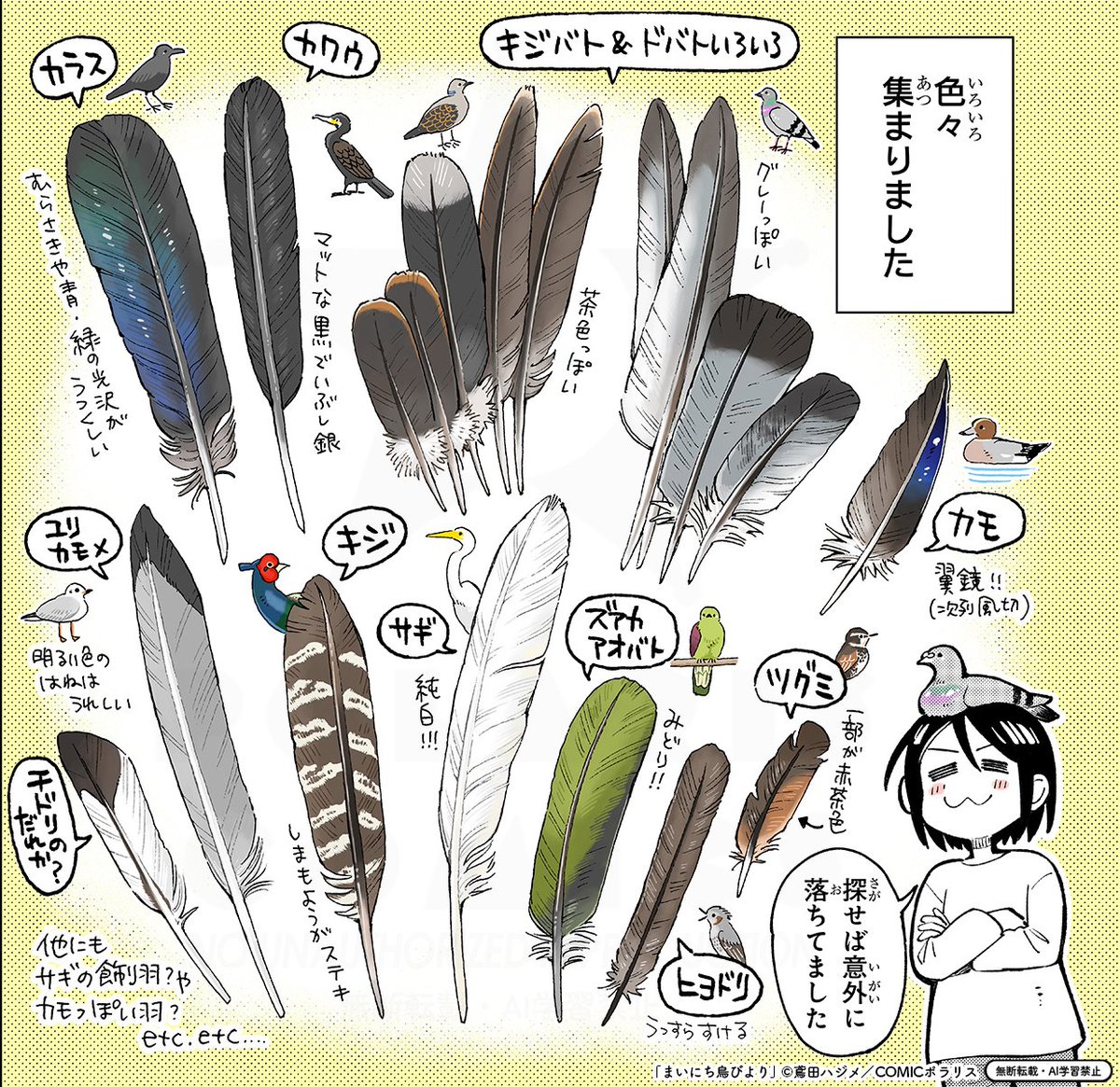 \そのへんにいる鳥って超たのしい🦆/

いつもの景色も心うきうき✨
楽しく学べる野鳥観察エッセイ🦆
『まいにち鳥びより』
https://t.co/NCMpRIKvFA

🪶羽拾いのおはなし
🪶東京港野鳥公園で鳥見のおはなし

今すぐチャレンジできる
お話がたっぷり無料公開中です✨ 