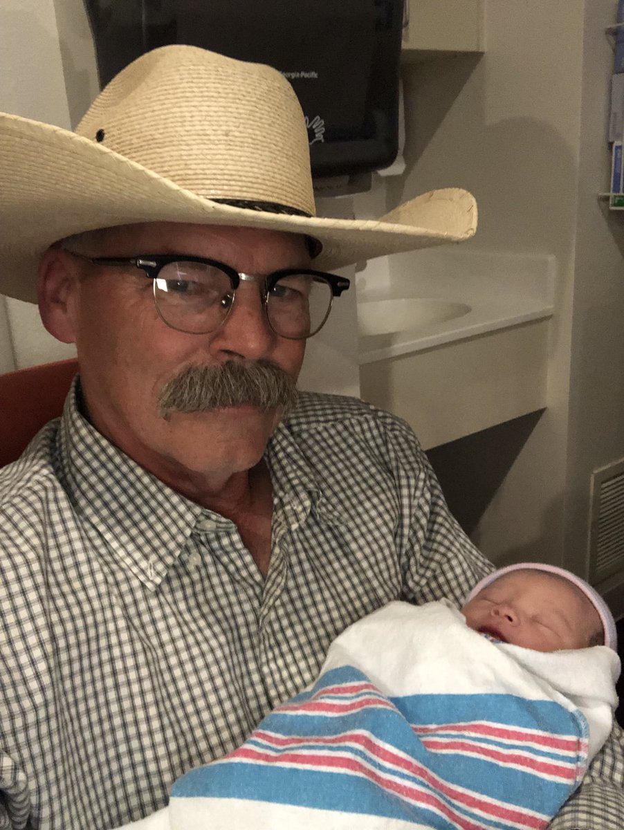 Mr. Pigweed ©️ tweet media