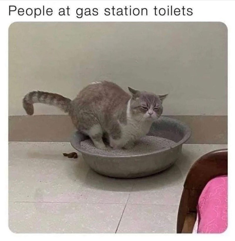 johnnyknowhow09's tweet photo. Finally, we have closure on this.

Drop a 💀 if you've been there.
#memes #relatable #catmemes https://t.co/I73VKdJm4A