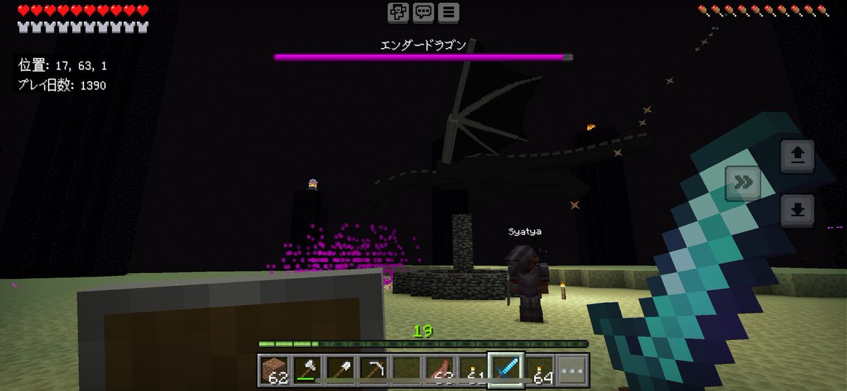 chu_nosuke86's tweet image. エンダードラゴン討伐！！！