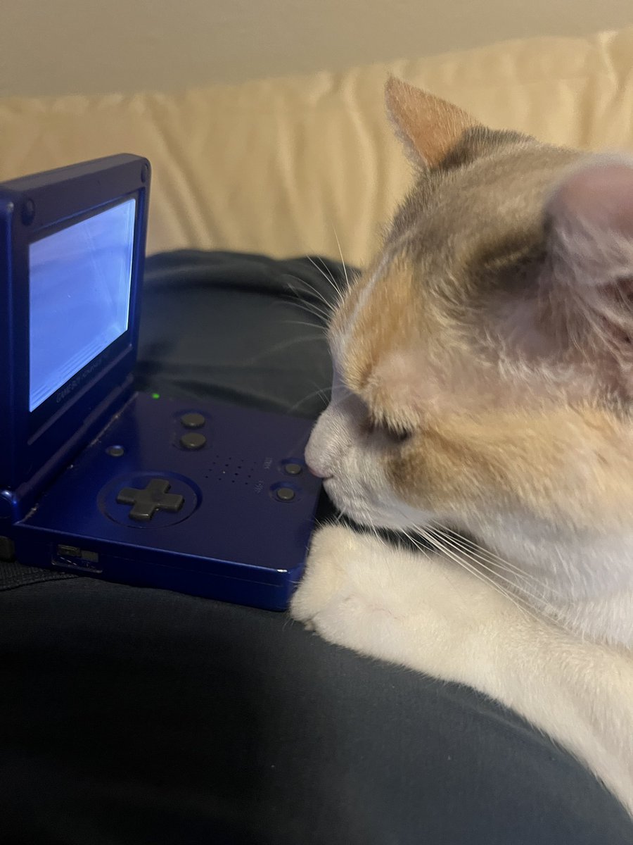 She is gaming