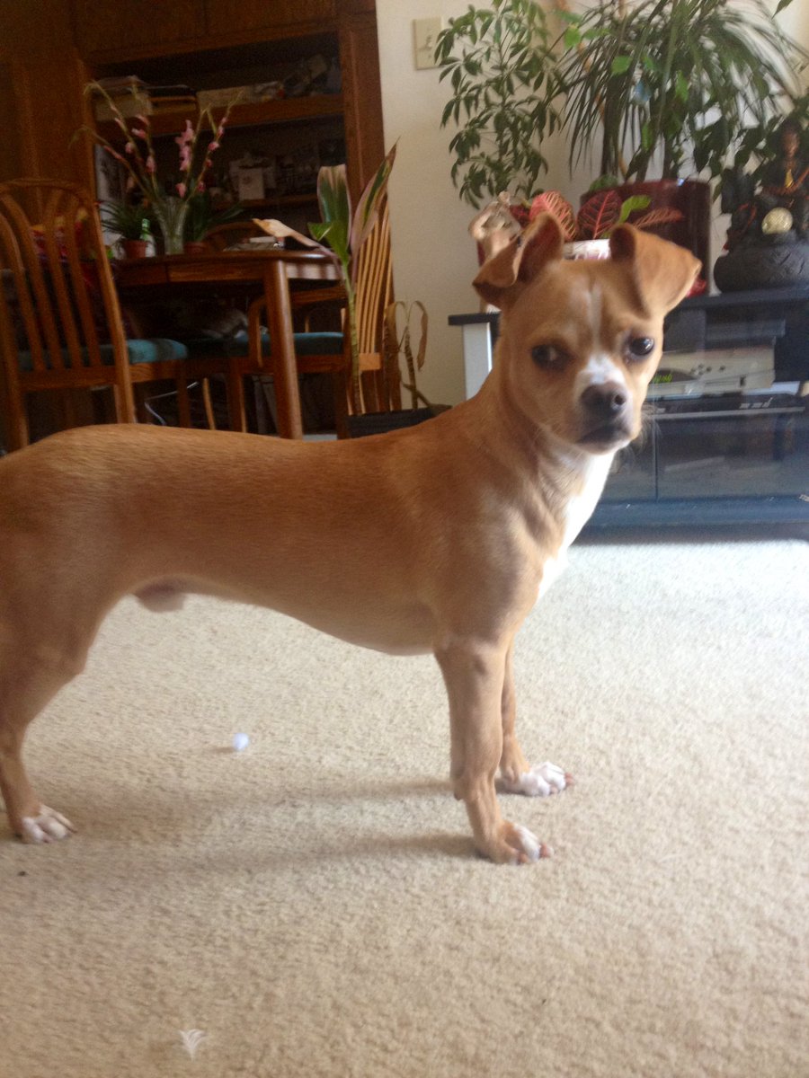 Zachary Sire tweet media