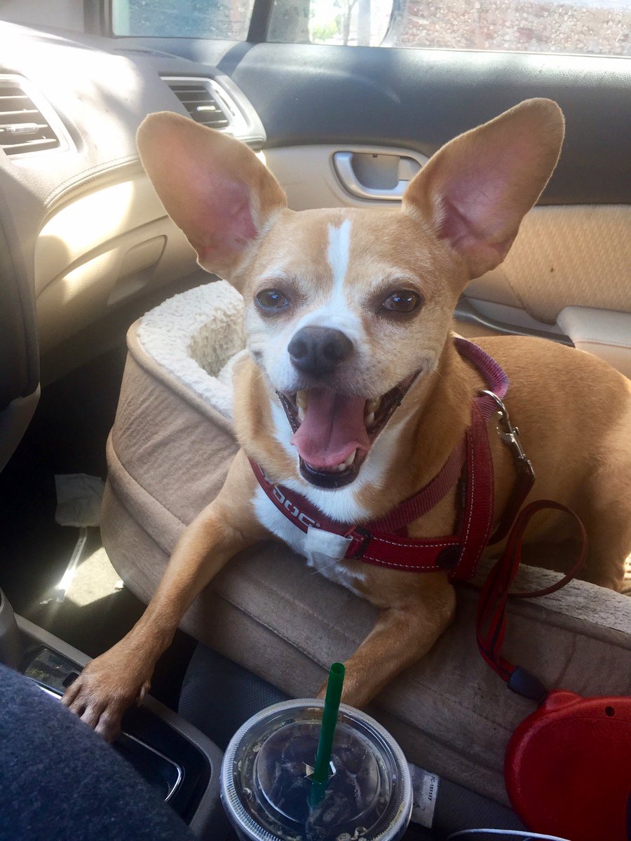 Zachary Sire tweet media