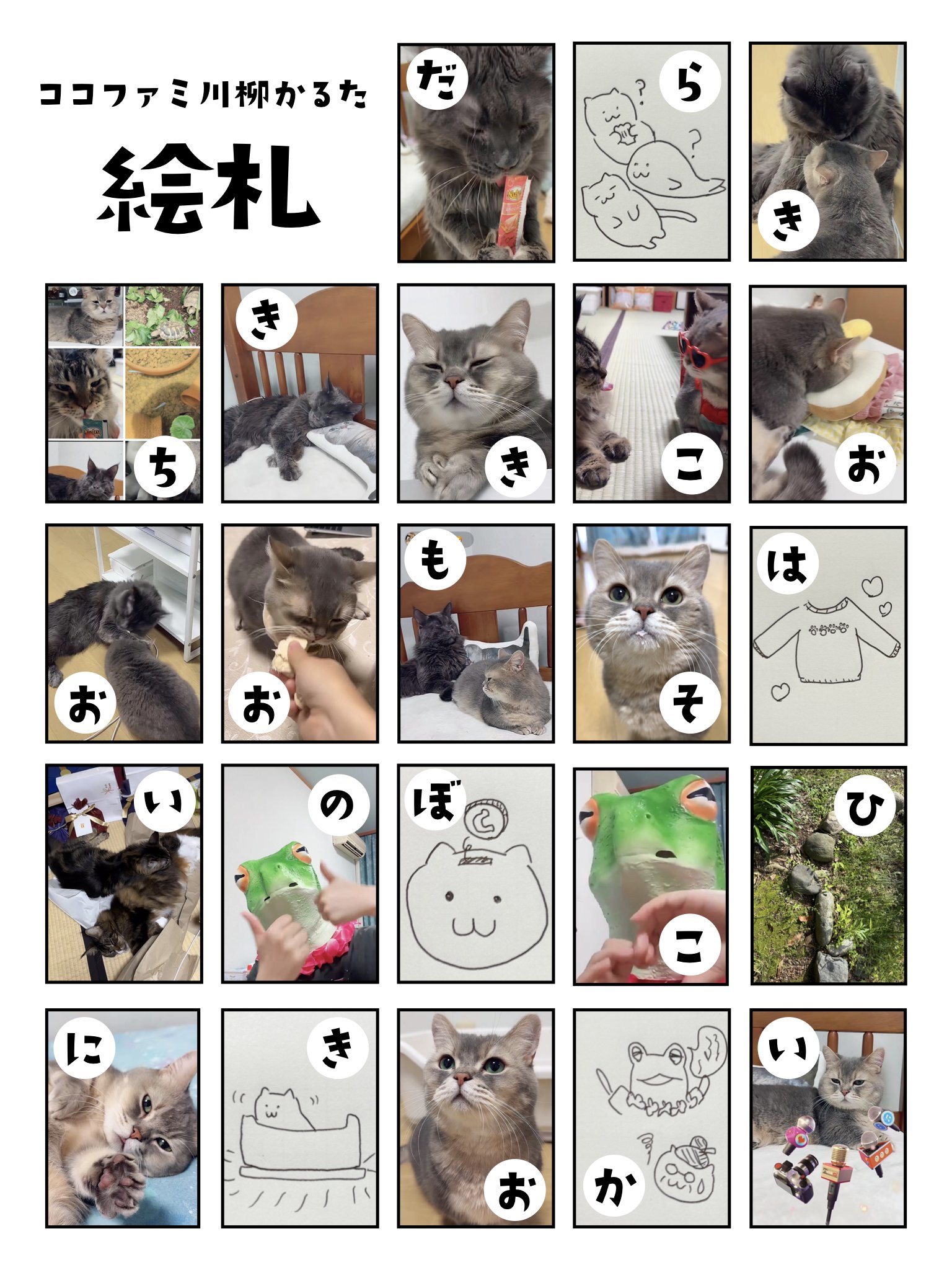 猫のココス (@hello553cat) / X