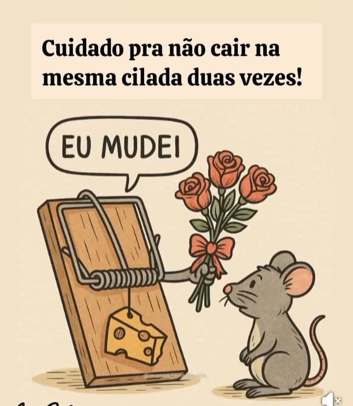 R e c i t e i (@souderecitar) on Twitter photo 