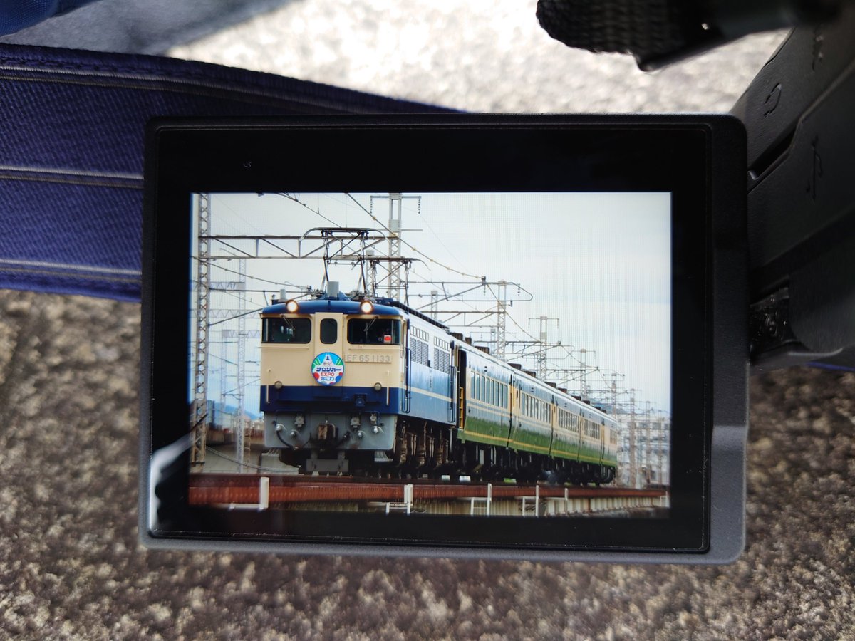 58128Mio's tweet photo. 無事撮れました＼(^o^)／♪ https://t.co/xYpYKnYL23