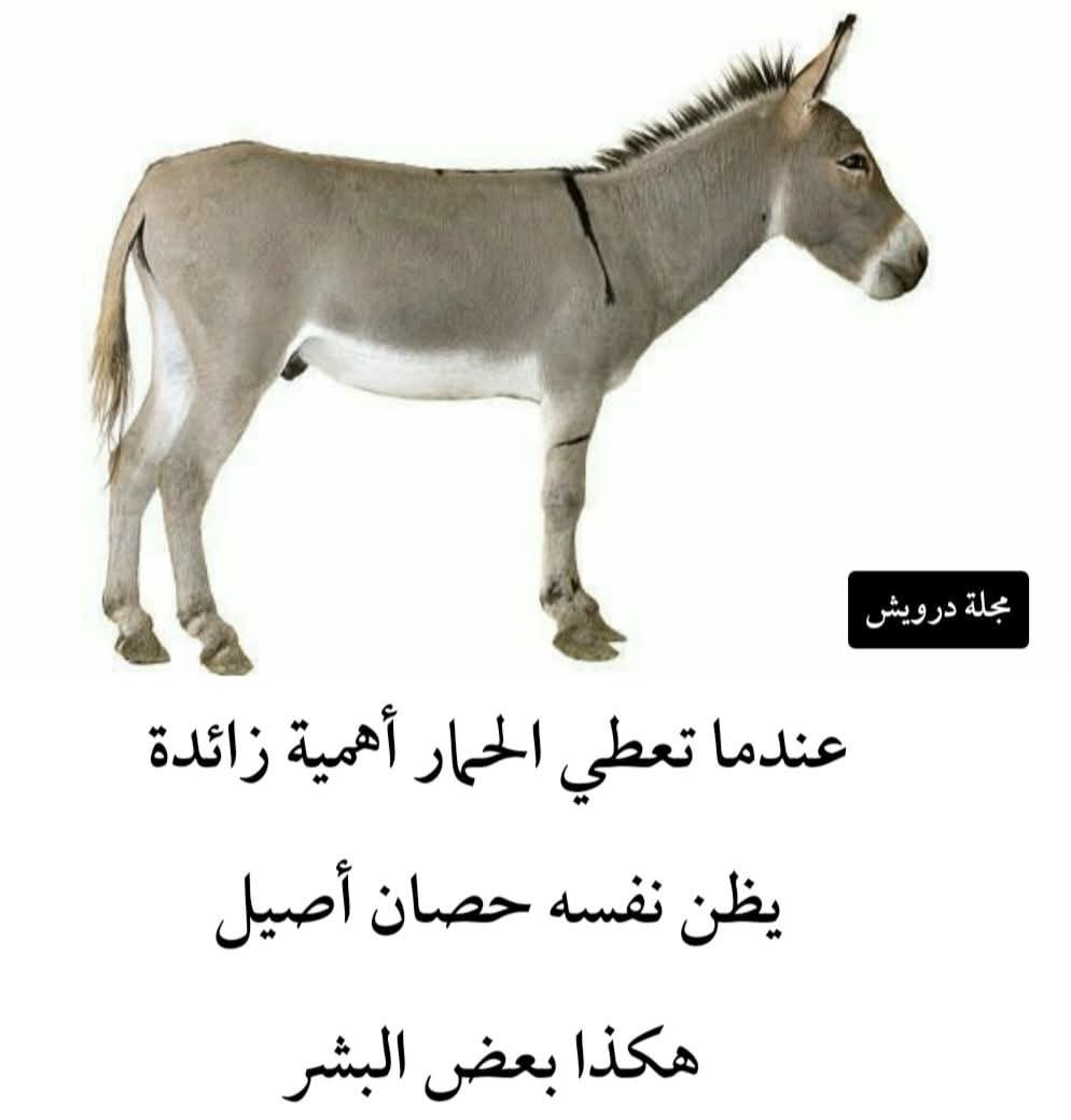 Libano Habibi (@babilibano) on Twitter photo <a href="/HarfoucheP71193/">Peguy Harfouche</a> <a href="/kikisemaan2/">kiki semaan 🧡</a> الك عين يا زمك بالتيار
طلع لكم ٦ اعضاء بالبلدية بجزين بس
لا رئيس ولا نايب رئيس كلون لابراهيم عازار ومهوى كمان ١٠ اعضاء
مش عيب عليكم تكذبوا انكم انتصرتوا يا جحاش التيار <a href="/HarfoucheP71193/">Peguy Harfouche</a> <a href="/kikisemaan2/">kiki semaan 🧡</a> الك عين يا زمك بالتيار
طلع لكم ٦ اعضاء بالبلدية بجزين بس
لا رئيس ولا نايب رئيس كلون لابراهيم عازار ومهوى كمان ١٠ اعضاء
مش عيب عليكم تكذبوا انكم انتصرتوا يا جحاش التيار