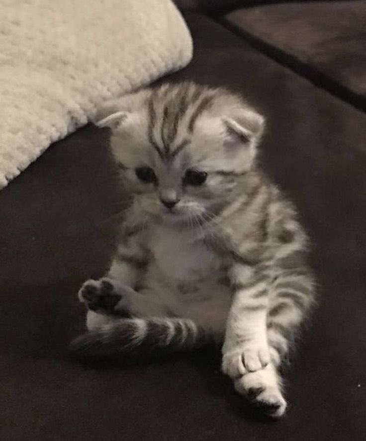 Flore (@lureflwrs) on Twitter photo 