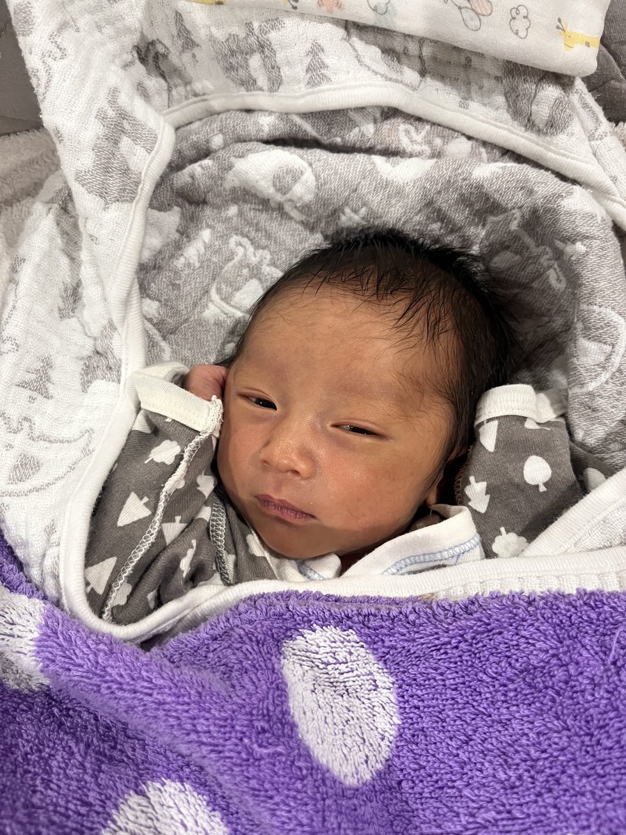 Pちゃん@きんちゃいTV tweet media