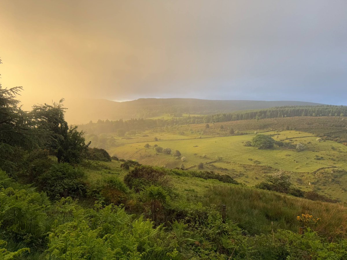 a little rain at sunrise