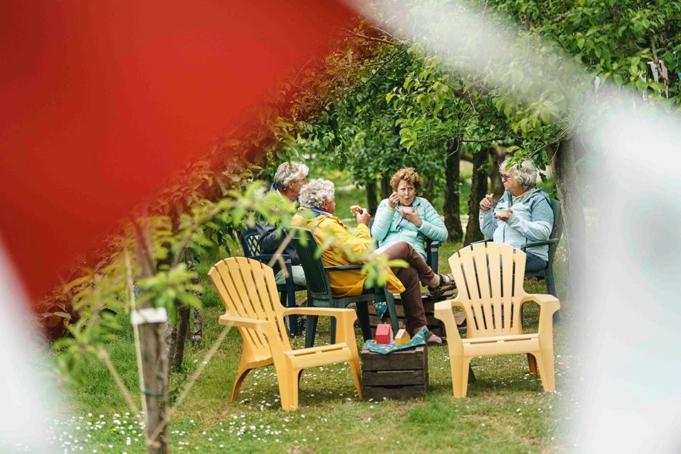 Terug naar het begin tweet media